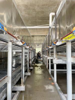 福建霞浦两台50吨