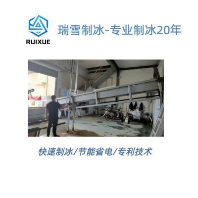 输送带碎冰机