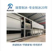 日产12-30吨块冰机