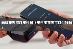 蚂蚁花呗可以支付吗（支付宝花呗可以付钱吗）