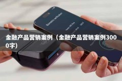 金融产品营销案例（金融产品营销案例3000字）