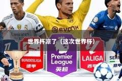 世界杯凉了（这次世界杯）
