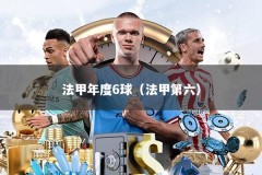 法甲年度6球（法甲第六）