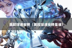 英超球迷安胖（英超球迷安胖是谁）