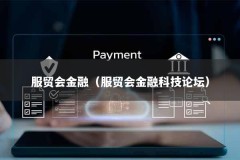 服贸会金融（服贸会金融科技论坛）