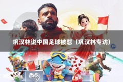 巩汉林说中国足球被怼（巩汉林专访）
