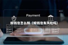 鲸钱包怎么样（鲸钱包有风险吗）