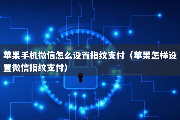 苹果手机微信怎么设置指纹支付(苹果怎样设置微信指纹支付)